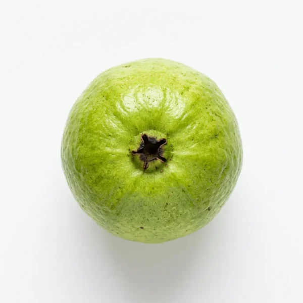 جوافة