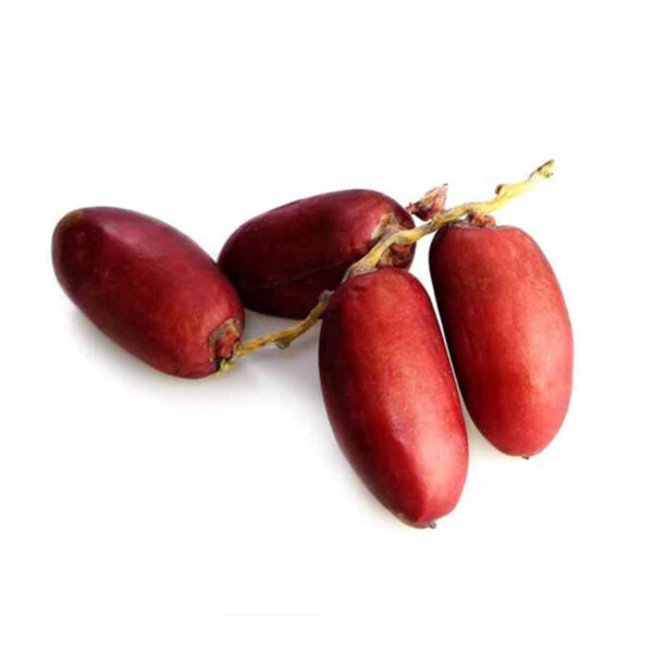 بلح زغلول