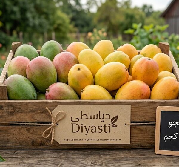 بوكس مانجو